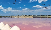 camargue fleur de sel